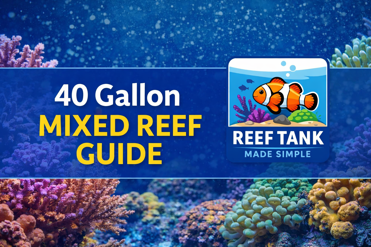 Simple Reef Tank Beginner Reef Tank Guide: Build It Right from the Start